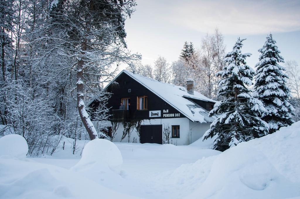 Privat - Harrachov 392 Hotel Kültér fotó